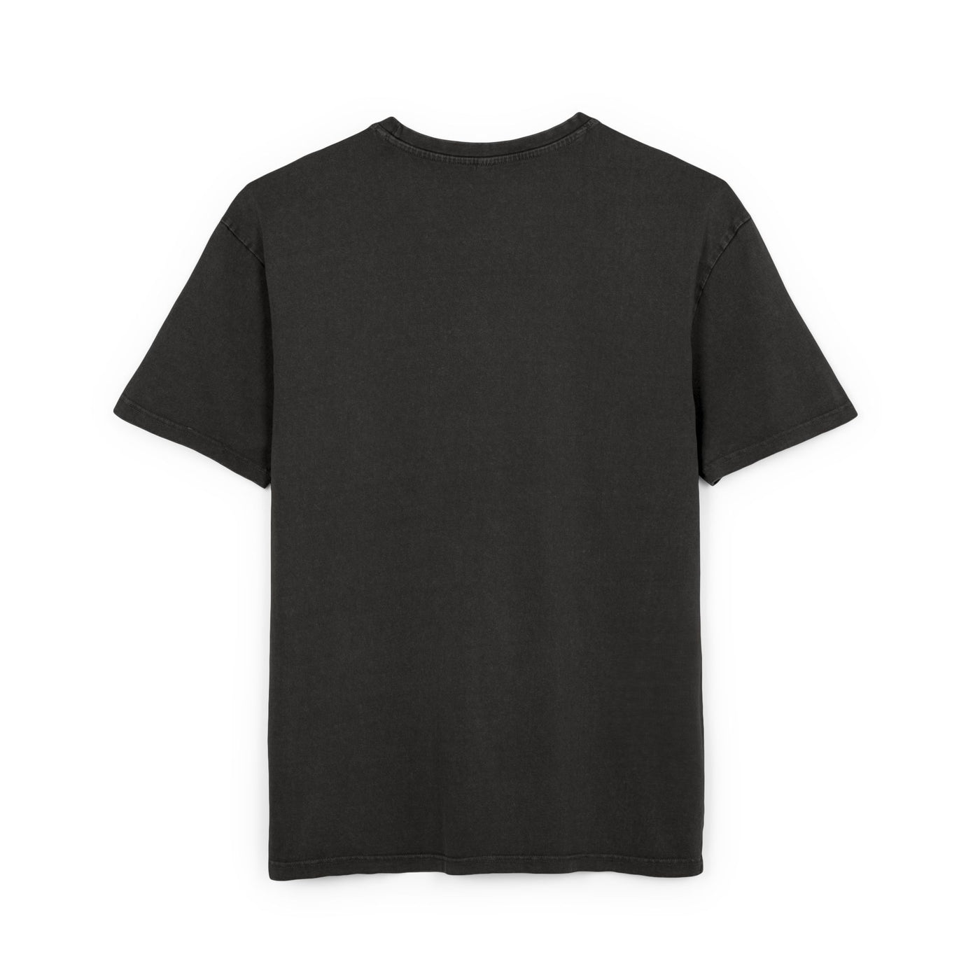 Vintage t-shirt Unisex roundneck heavy oversize tee in acid-washed black color, back view.